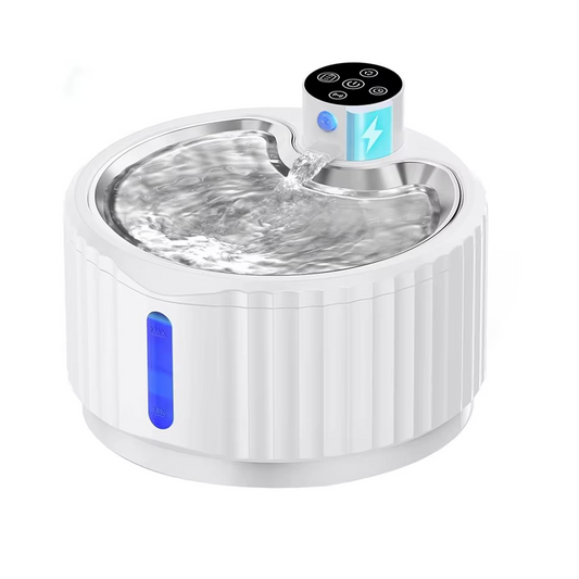 Automatic Water Fountain