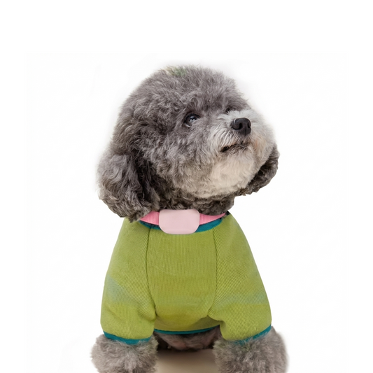 Real-Time Tracking Collar