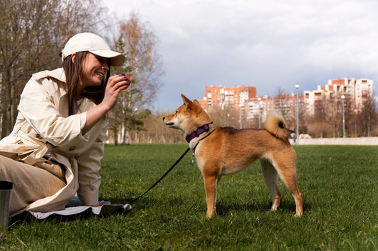 GPS Pet Trackers: Ensuring Safety and Peace of Mind