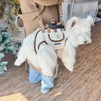 Outdoor Carrying Bag