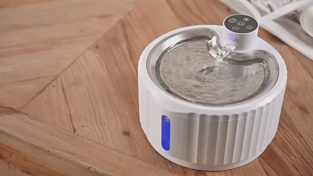 Automatic Water Fountain