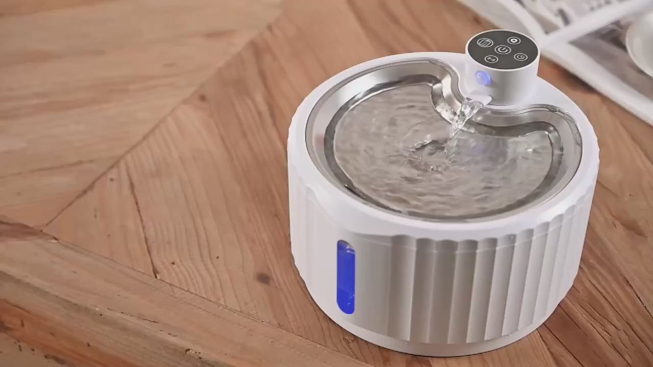 Automatic Water Fountain